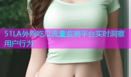 51LA外网吃瓜流量监测平台实时洞察用户行为