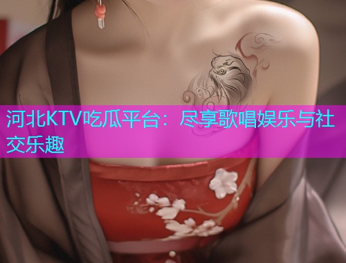 河北KTV吃瓜平台：尽享歌唱娱乐与社交乐趣
