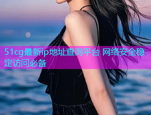 51cg最新ip地址查询平台 网络安全稳定访问必备