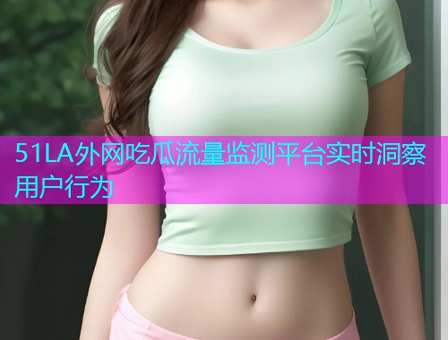 51LA外网吃瓜流量监测平台实时洞察用户行为